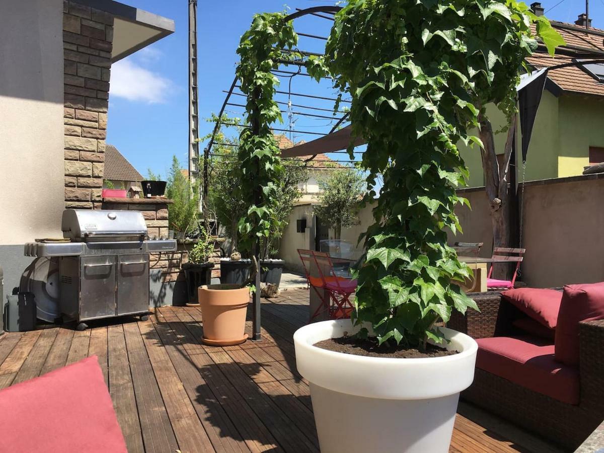 La Terrasse Selestadienne 셀레스탓 외부 사진