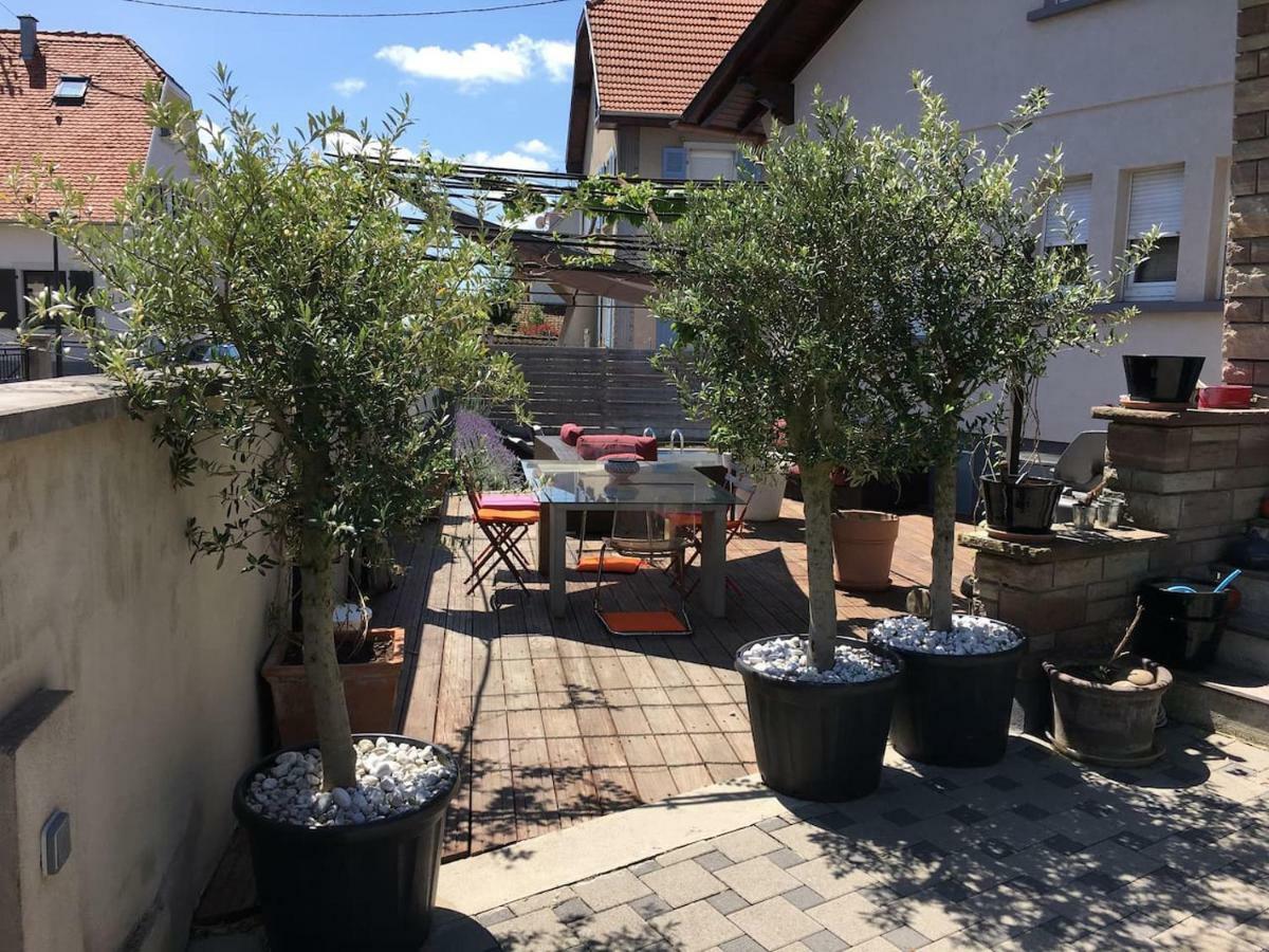 La Terrasse Selestadienne 셀레스탓 외부 사진