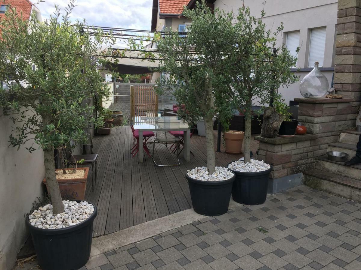 La Terrasse Selestadienne 셀레스탓 외부 사진